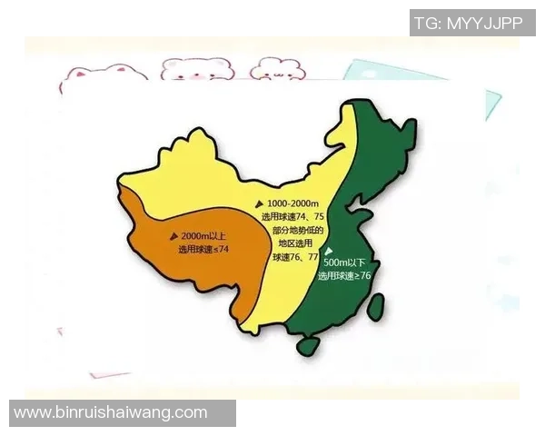 上海羽毛球队的训练节奏与战术解析深度探讨