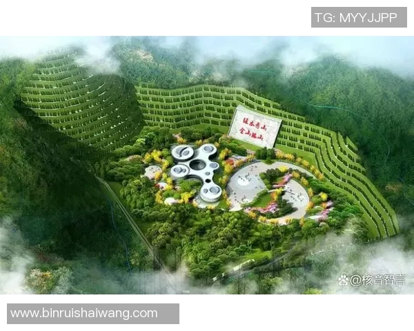 清洁足球运动的崛起与发展助力绿色环保理念的传播与实践